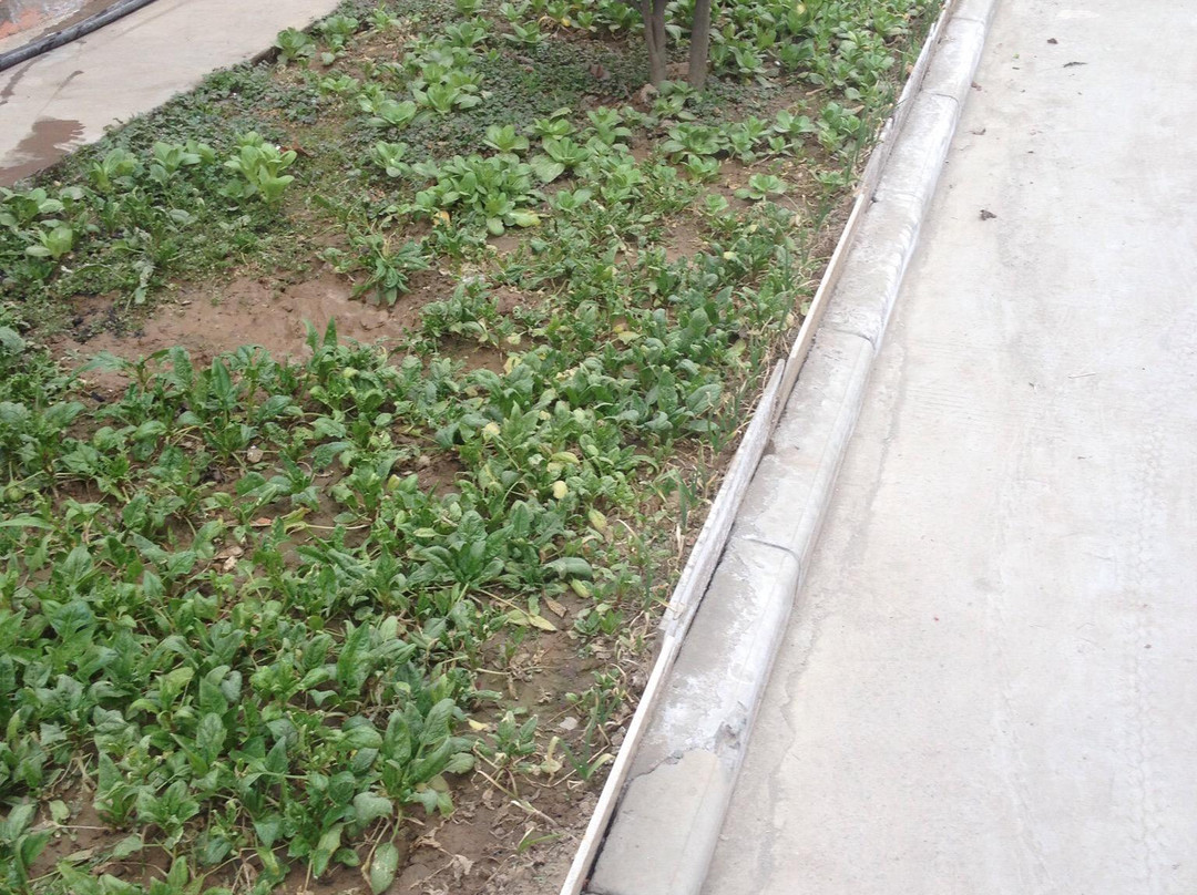 西安咸阳国际机场168快捷酒店主图