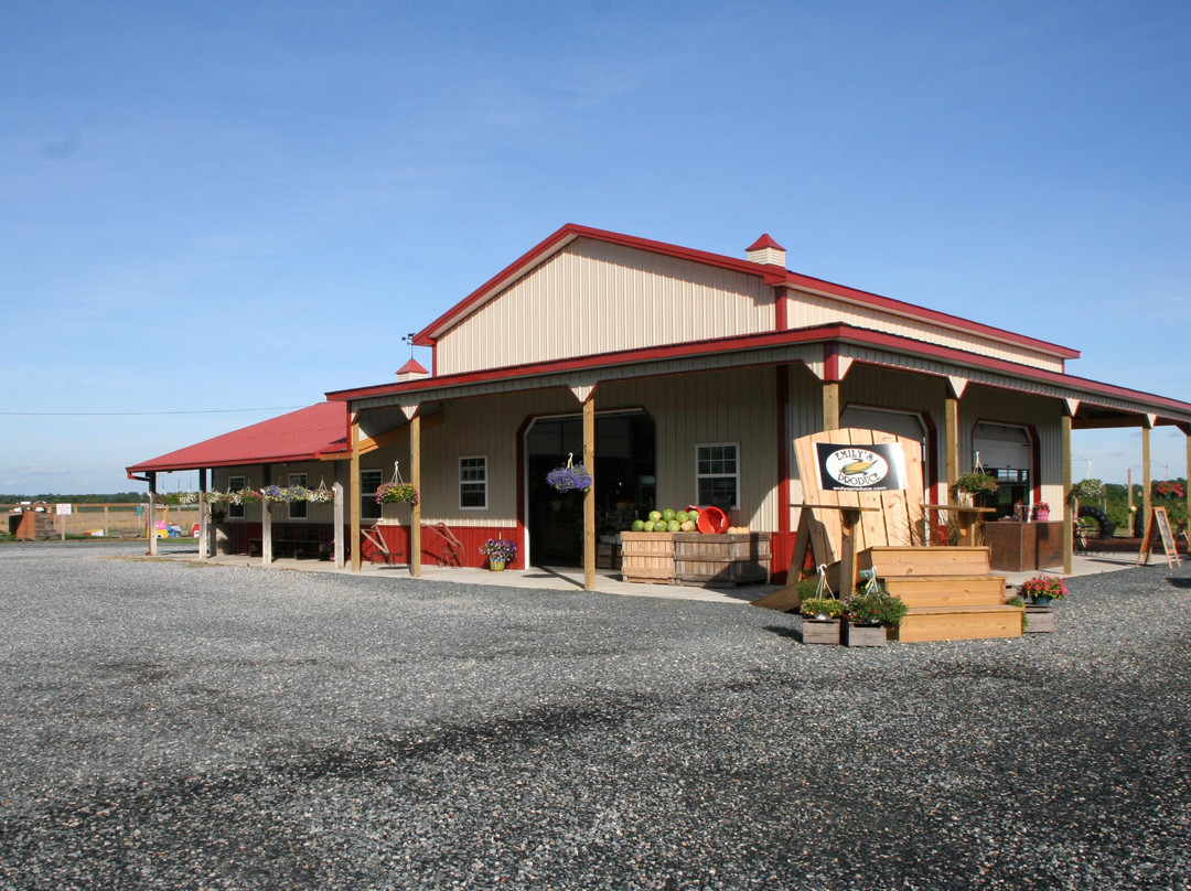 Emily’s Produce-坎布里奇必去景点