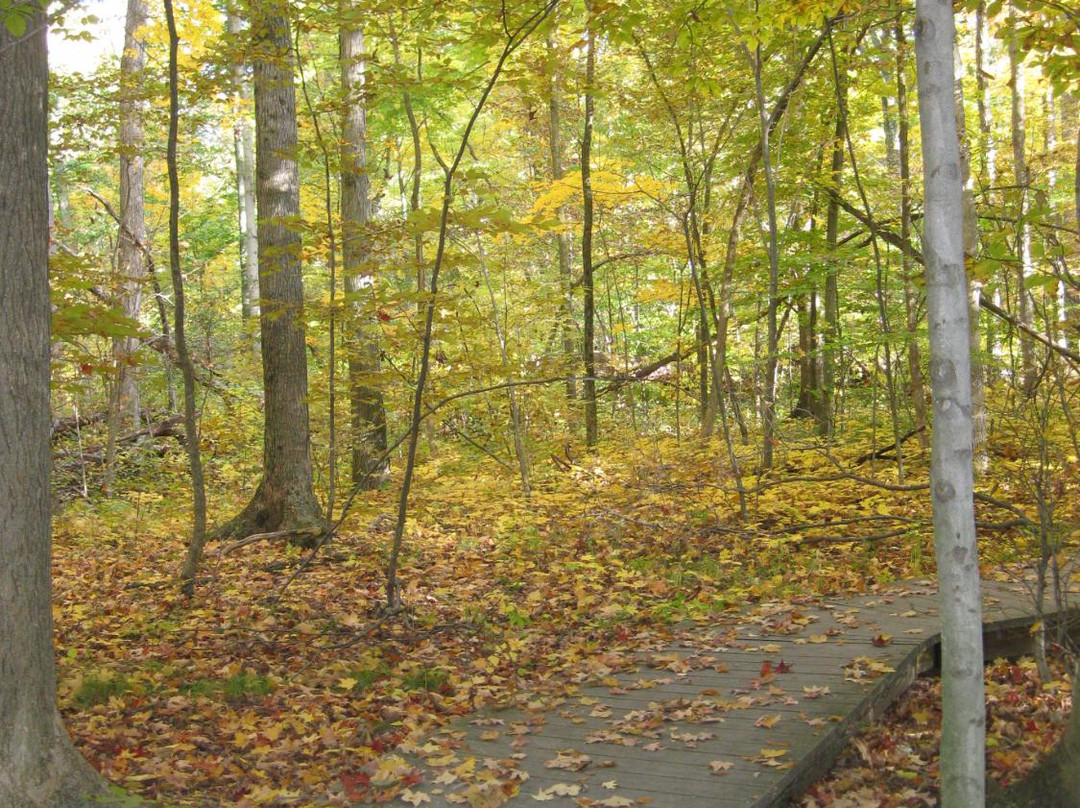 Lawrence Woods State Nature Preserve-Kenton必去景点