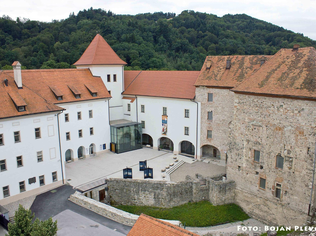 Petrovce旅游景点-Pokrajinski muzej Celje
