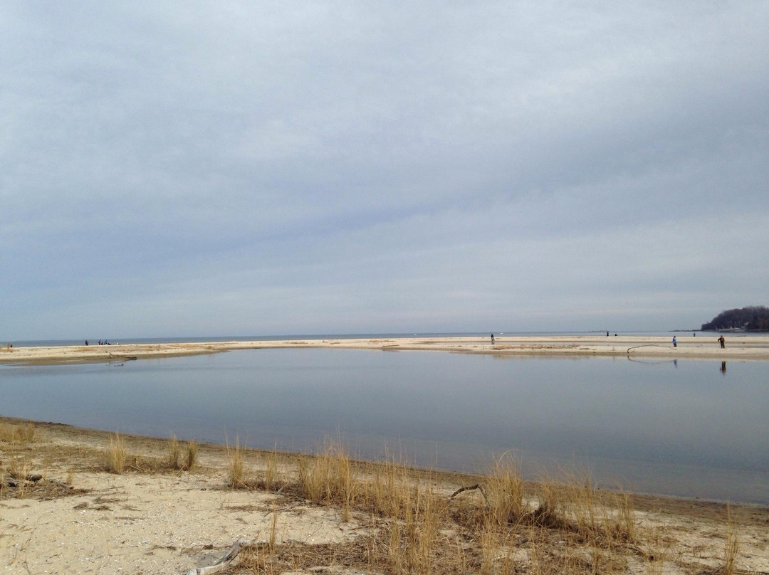 Flag Ponds Nature Park景点图片