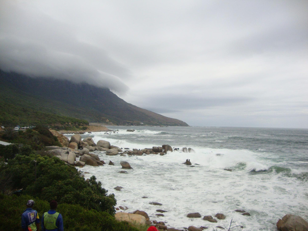 Cape Town Travel n Tours-开普敦中心区必去景点