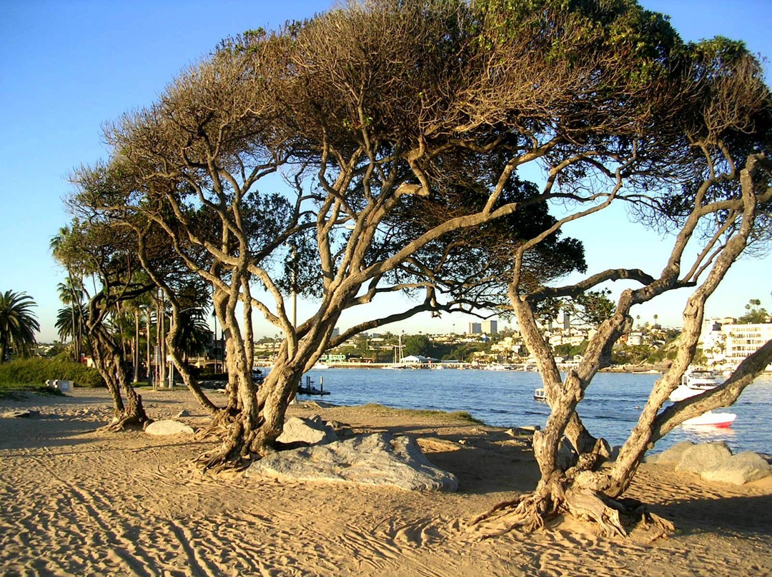 West Jetty View Park-纽波特海滩必去景点