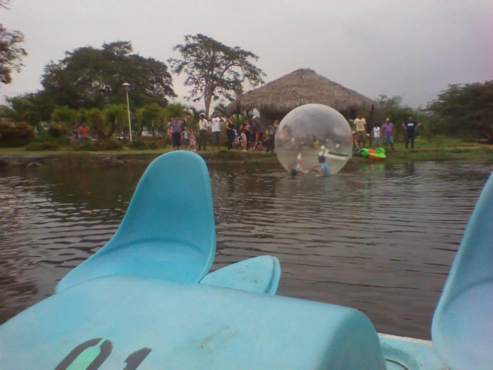 Parque Forestal景点图片