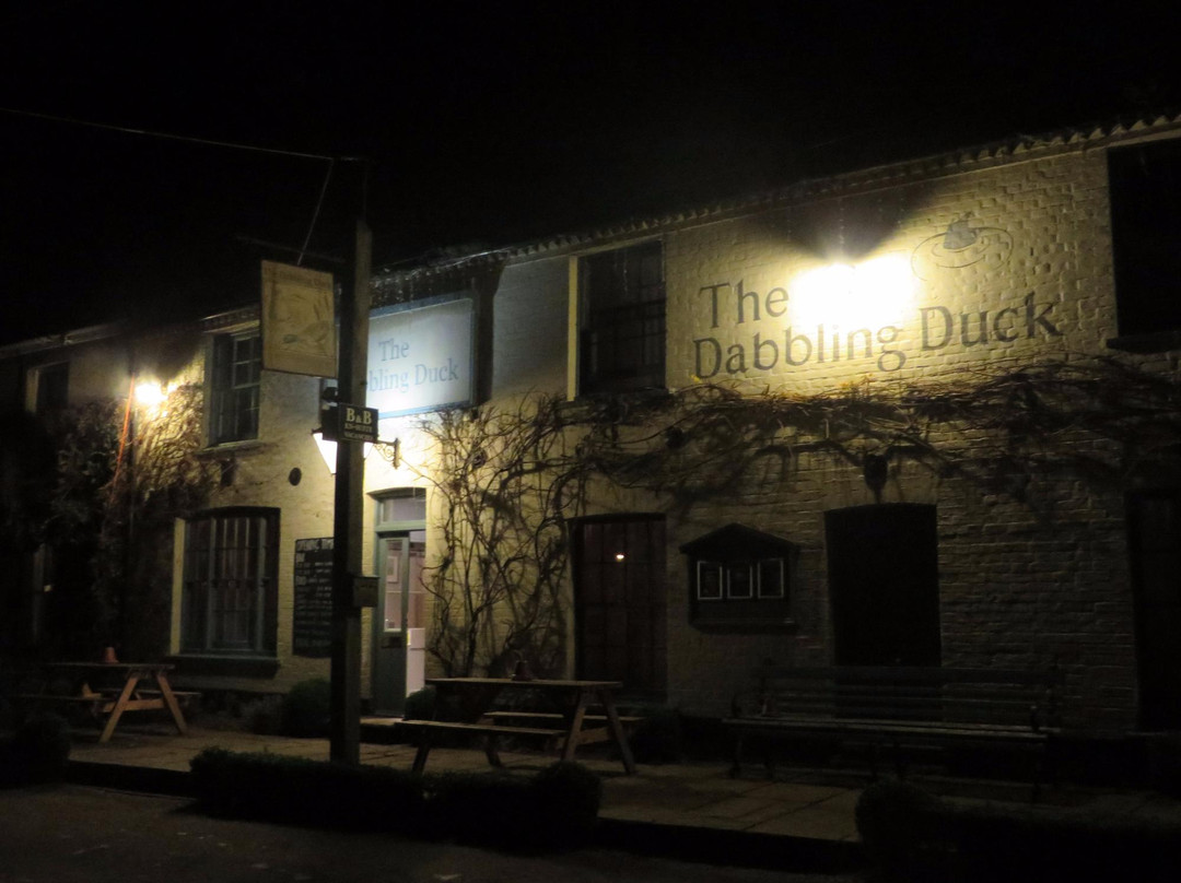The Dabbling Duck景点图片