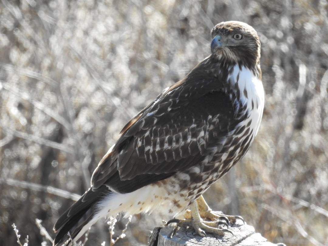 Maxwell National Wildlife Refuge景点图片