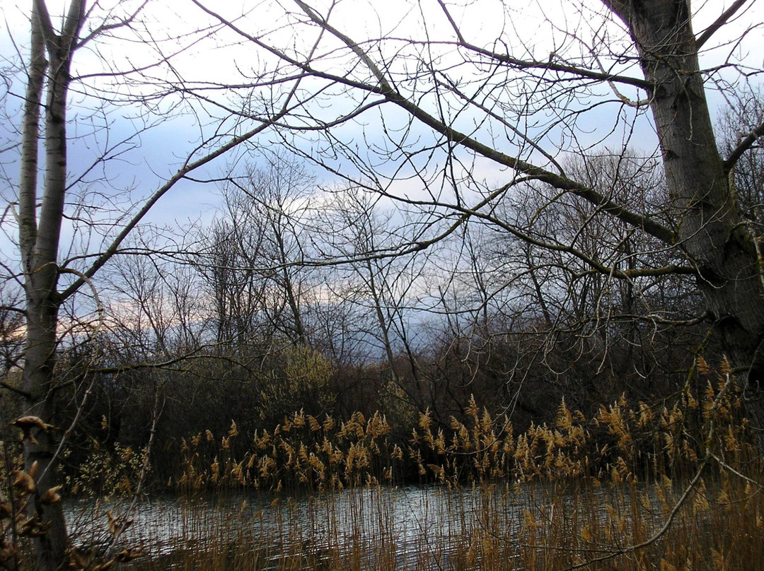 Agra Nisi Vrytta Wetlands-埃泽萨必去景点
