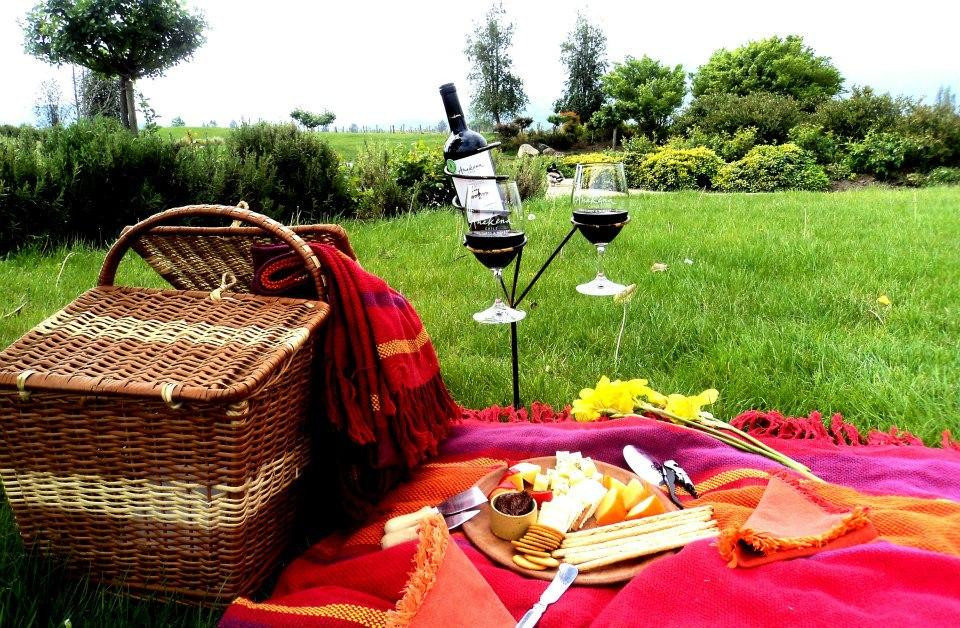 Viña Anakena-兰卡瓜必去景点