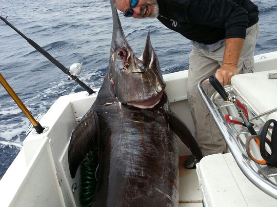 Captain Tom Hinterschied Fishing Charters-庞帕诺比奇必去景点
