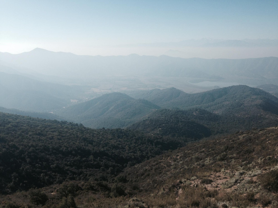 Reserva Natural Altos de Cantillana景点图片