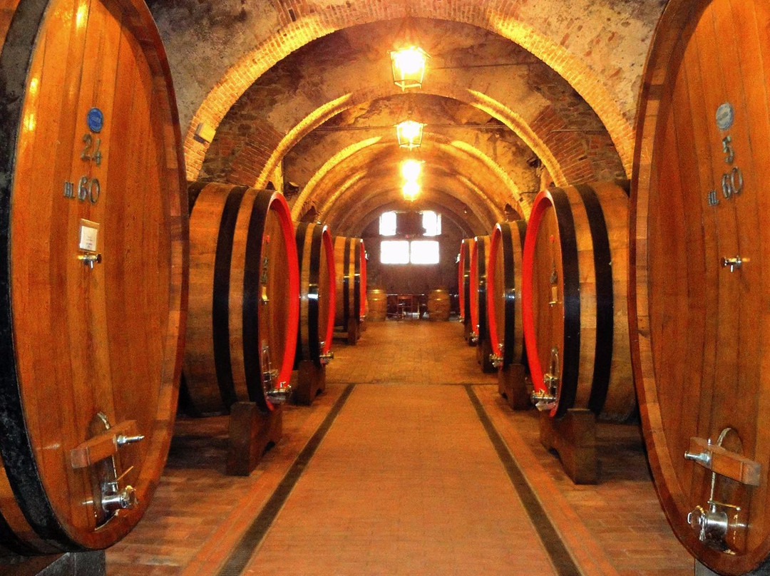 Cantina Fattoria della Talosa