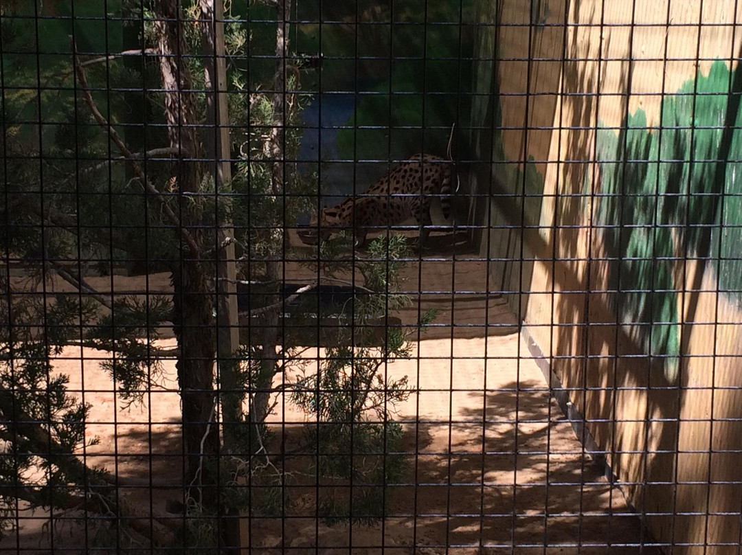 The Cat House-Rosamond必去景点