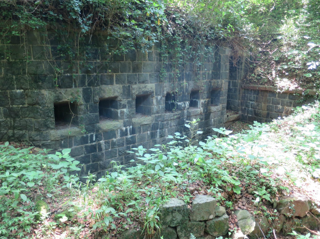 Ishiharadake Forest Park-西海市必去景点