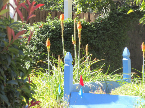 Conejo Valley Botanic Garden-千橡市必去景点