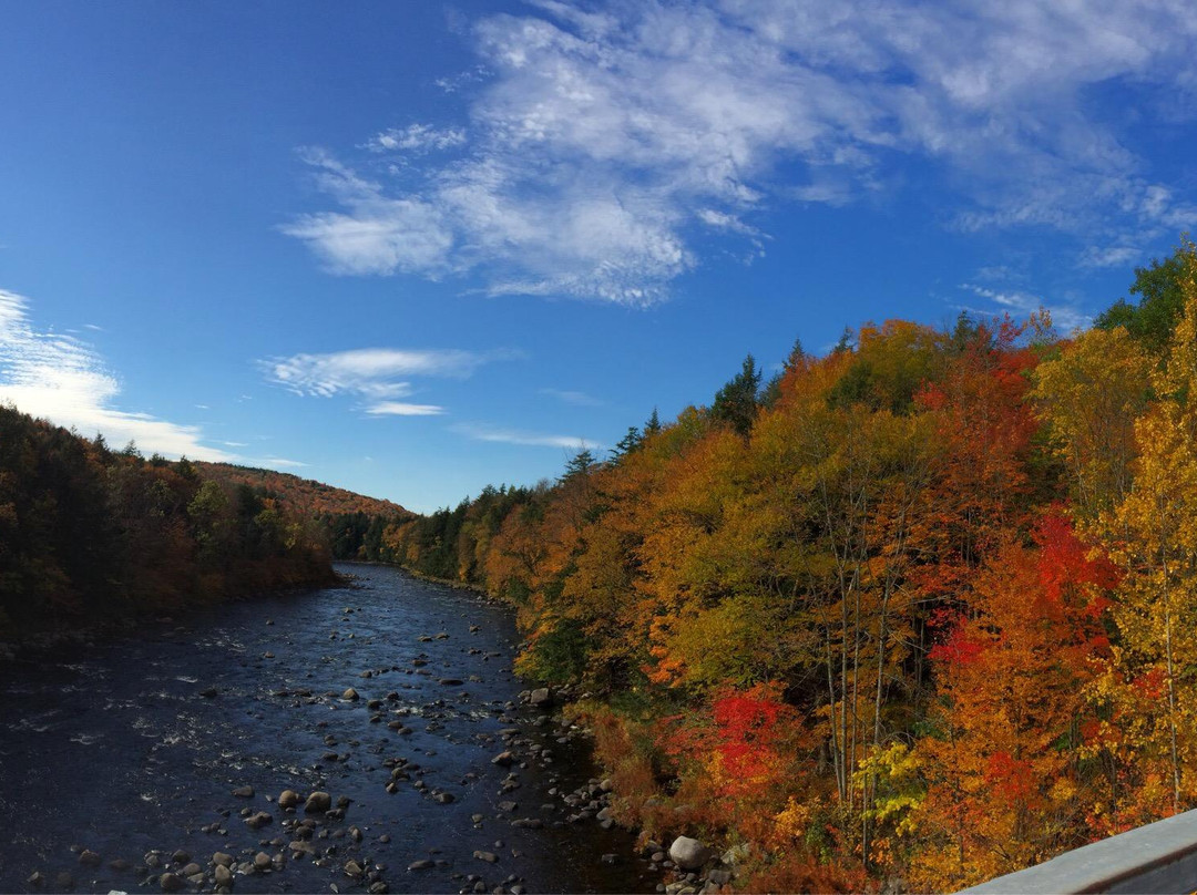 Oswegatchie River景点图片