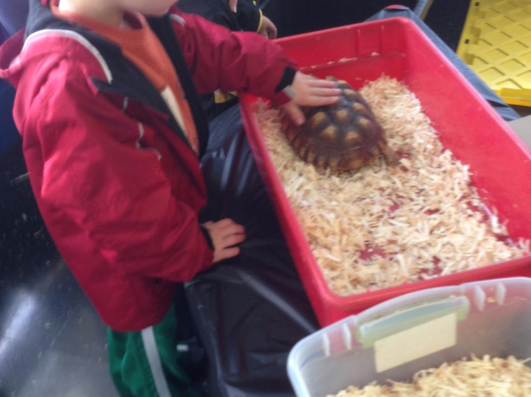 The Children's Museum in Easton-North Easton必去景点