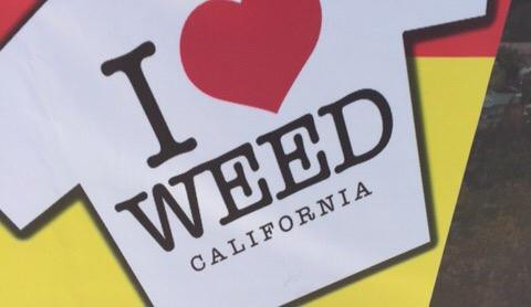 The Weed Store景点图片