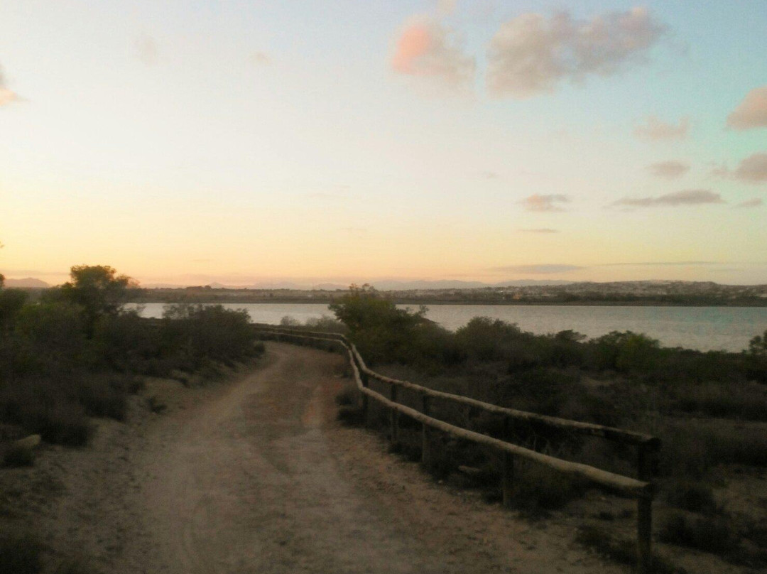 Las Salinas de Torrevieja景点图片