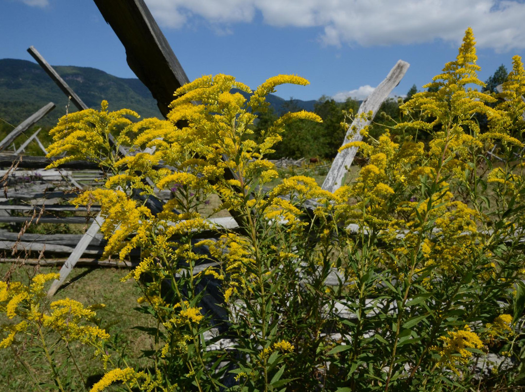 Wilderness Road State Park-Ewing必去景点
