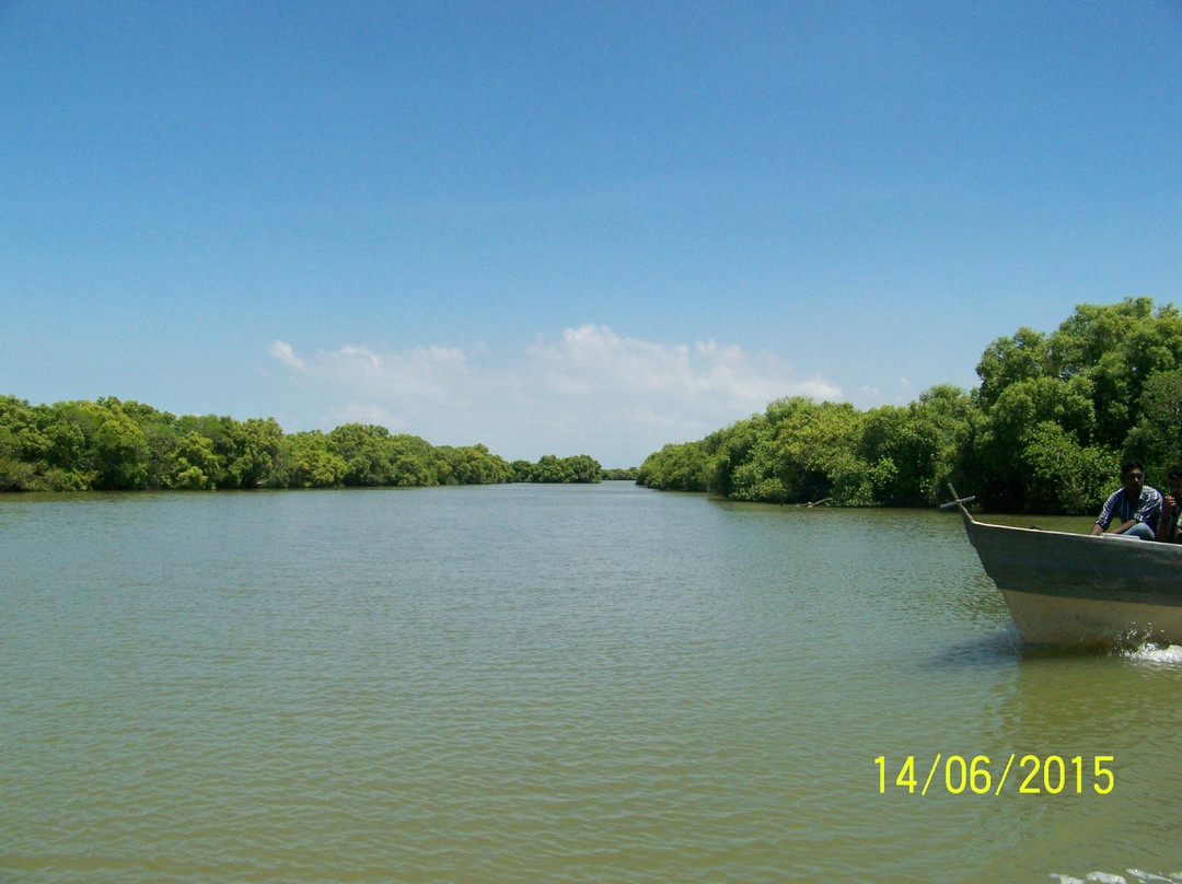 Muthupet Lagoon景点图片