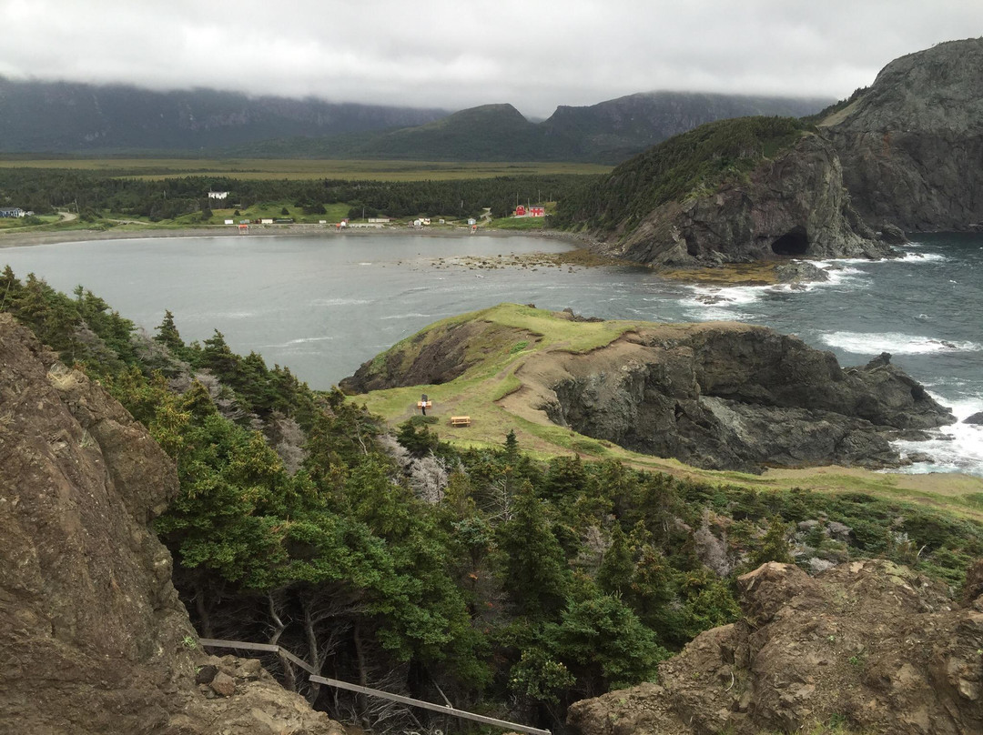 Bottle Cove Beach景点图片