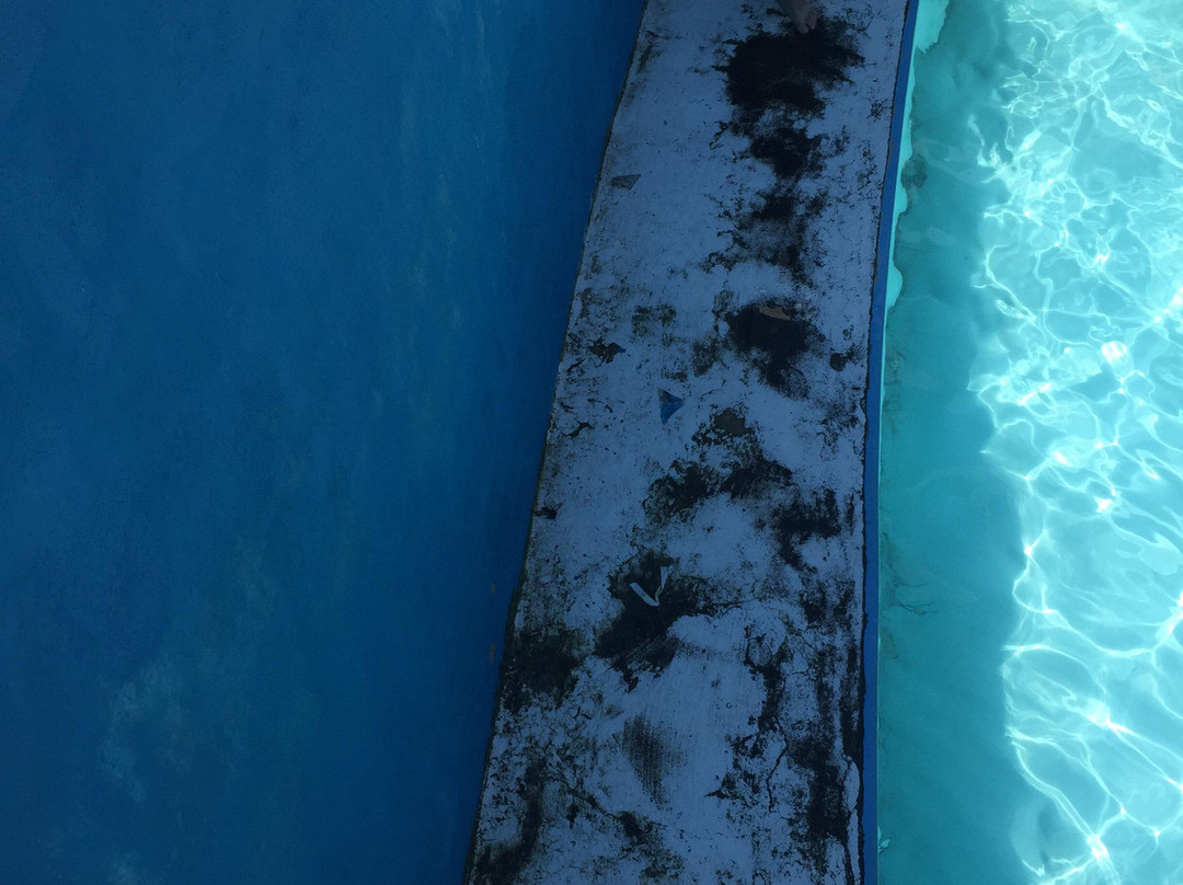 Splash & Fun Water Park-Bahar ic-Caghaq必去景点