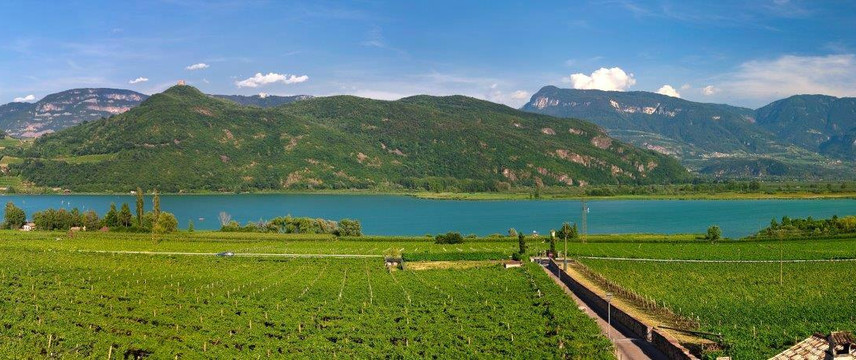 Castelvecchio Alto酒店住宿-Pension Hasslhof