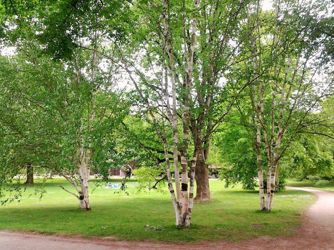 Kurpark-吕讷堡必去景点