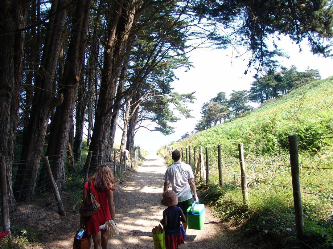Plage de la Touesse景点图片