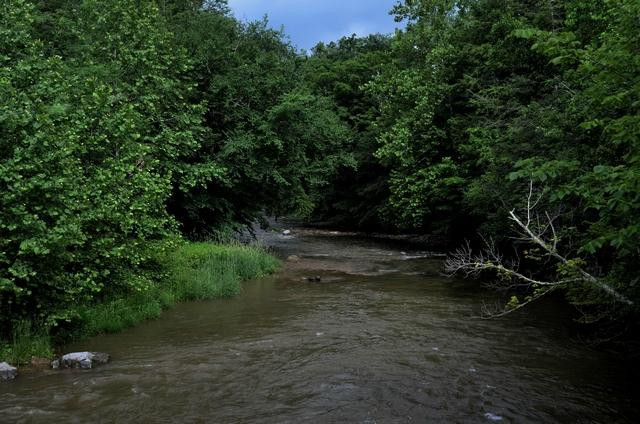 Elk River Inn & Cabins主图