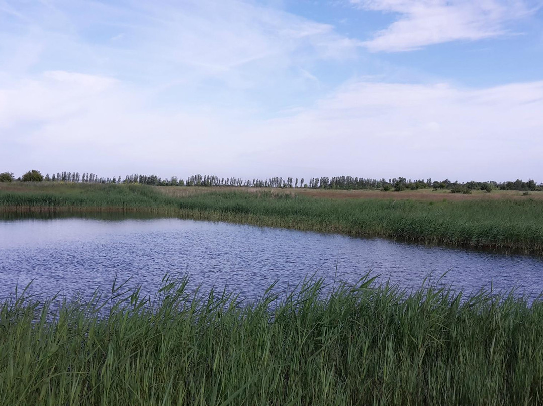 Skegness Golf Centre景点图片