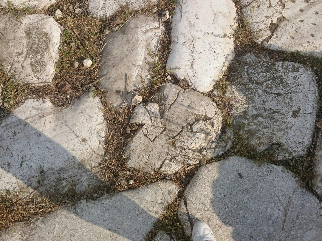 Parco Archeologico Di Suessula景点图片