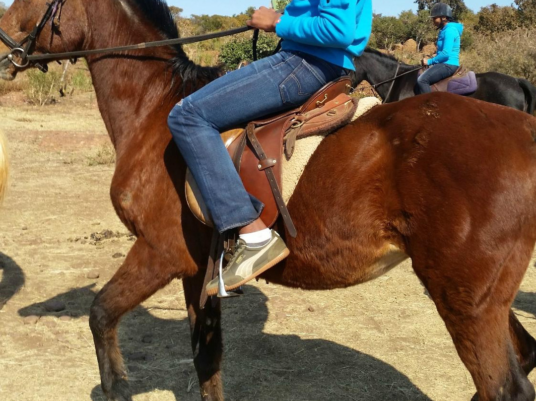 Horse Riding Adventures-柯立南必去景点