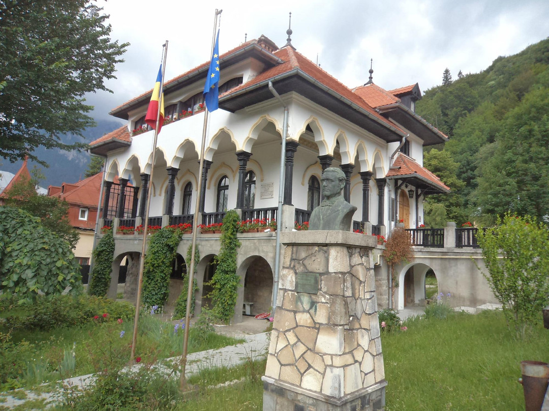 Muzeul Memorial Cezar Petrescu景点图片