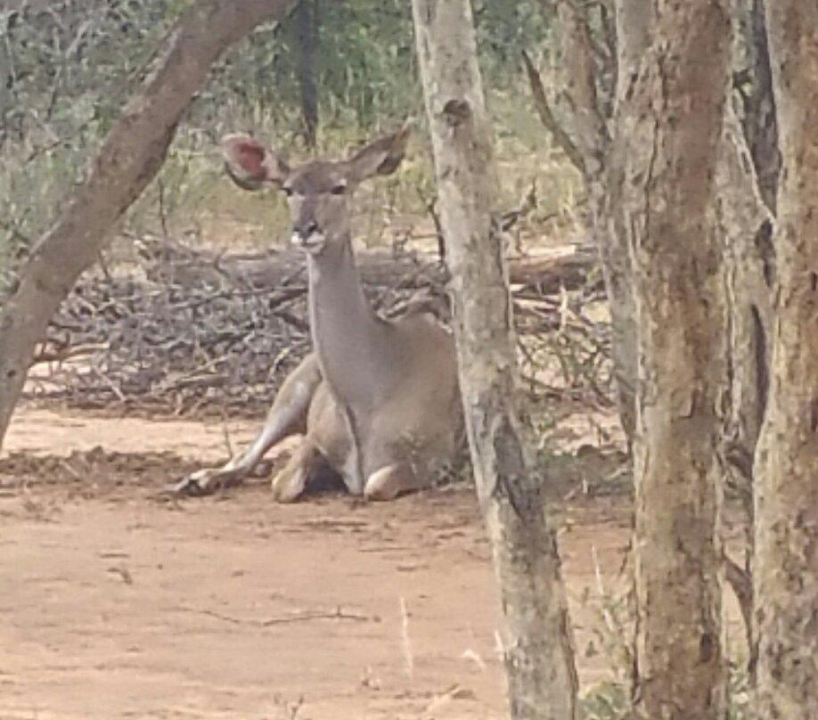 Marakele Animal Sanctuary-塔巴珍比必去景点