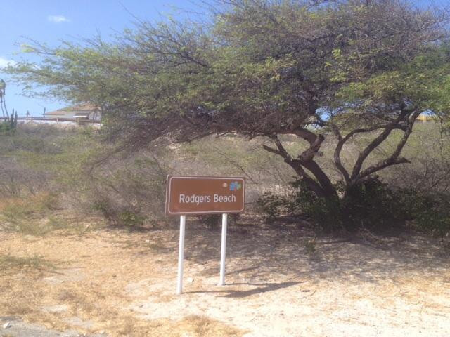Rodgers Beach-San Nicolas必去景点
