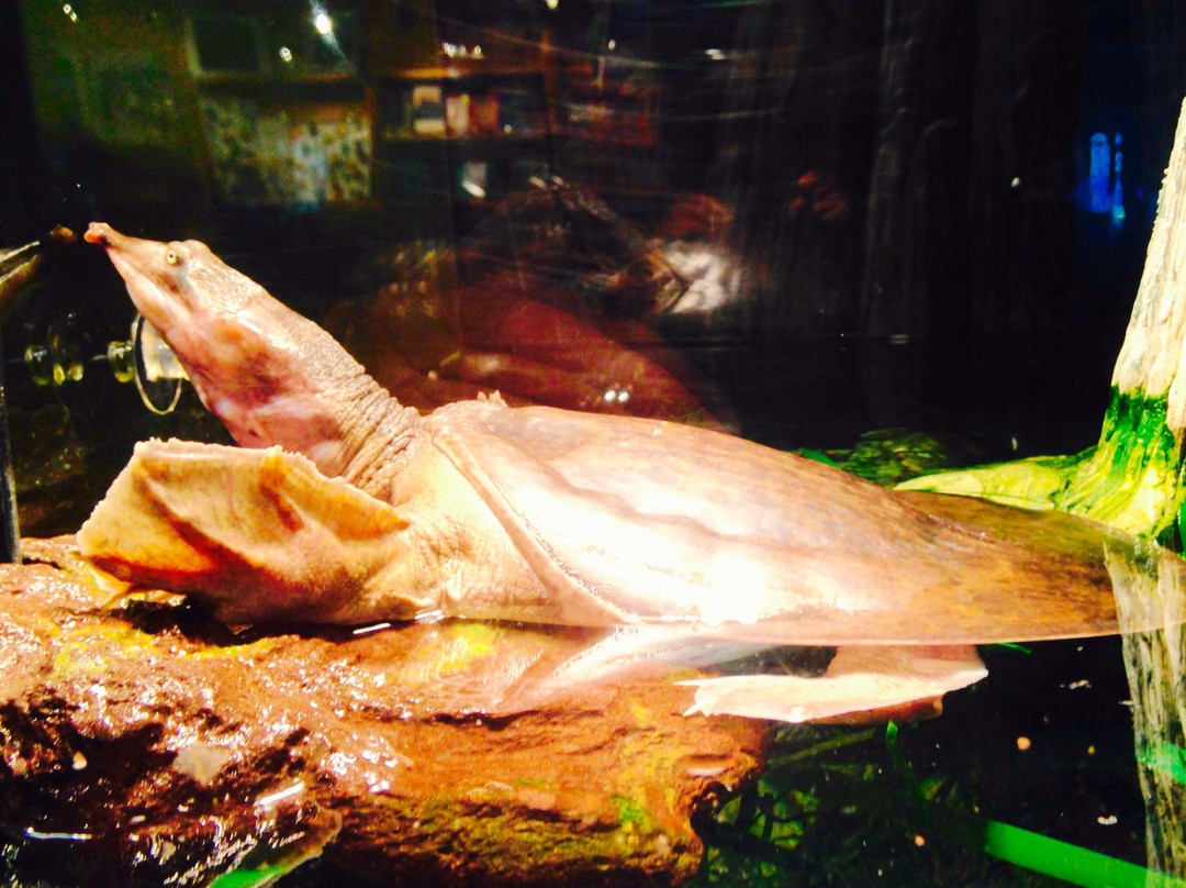 Limestone Creek Natural Area-朱庇特必去景点