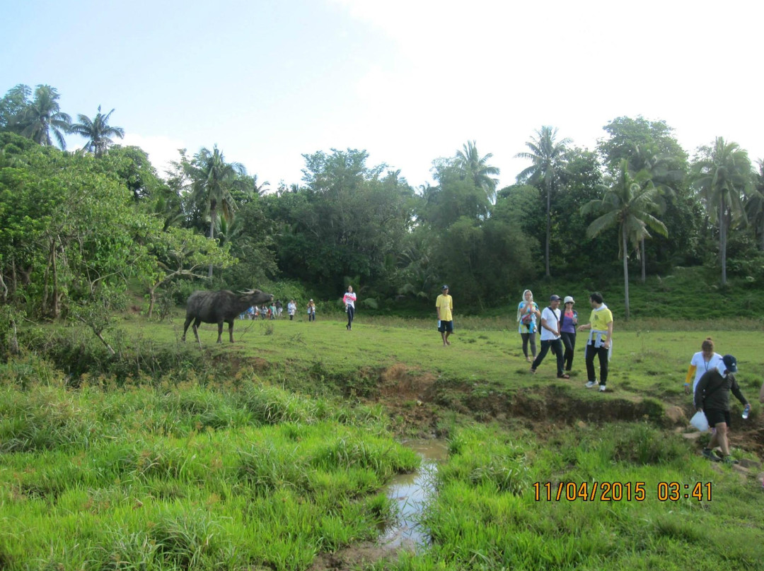 Mt. Cadig-Labo必去景点