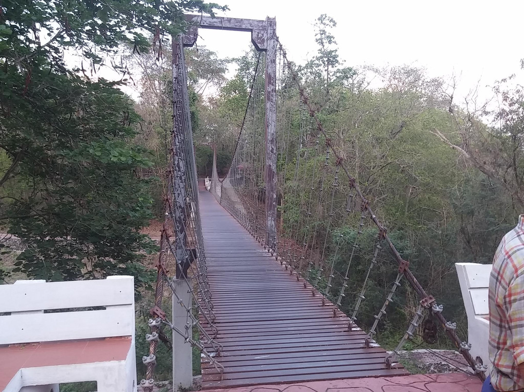 Khao Kradong Forest Park景点图片