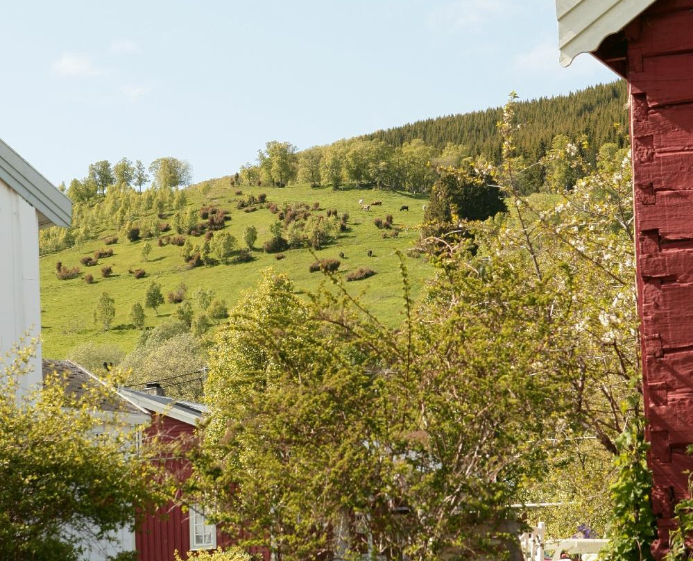 Røkenes Gård Restaurant Og Gjestehus-Harstad必去景点