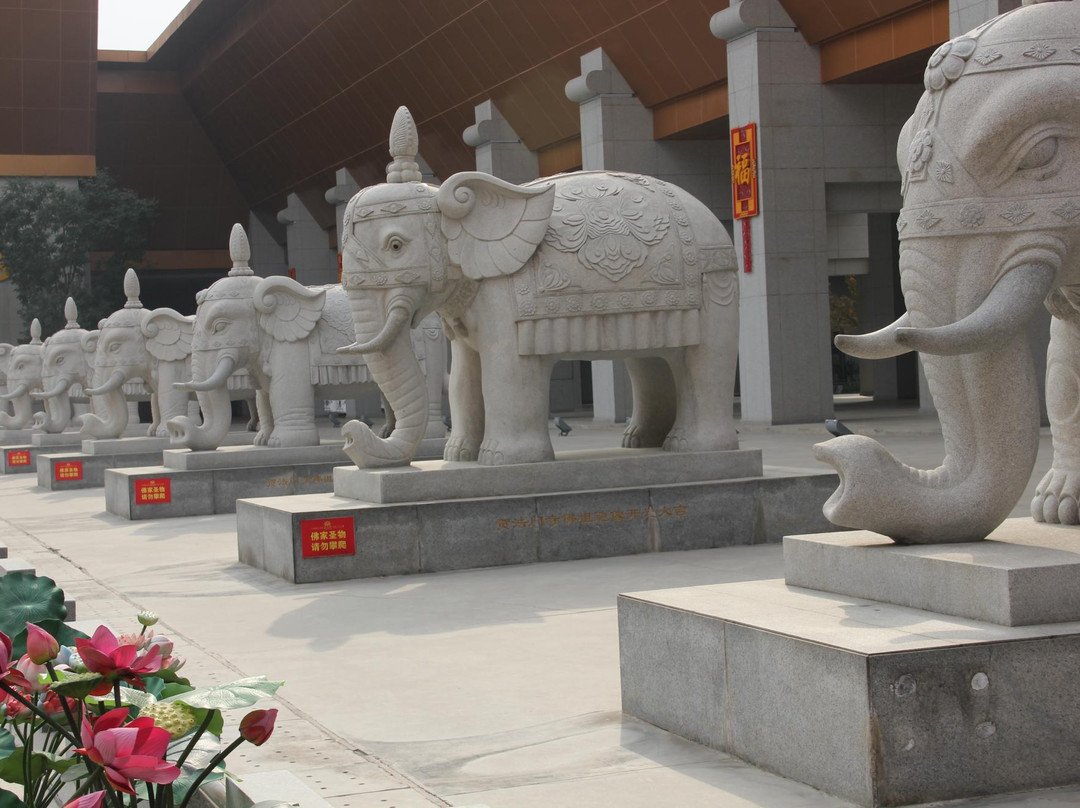 宝鸡法门寺博物馆景点图片