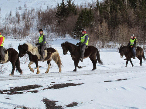 Icelandic Riding-雷克雅未克必去景点