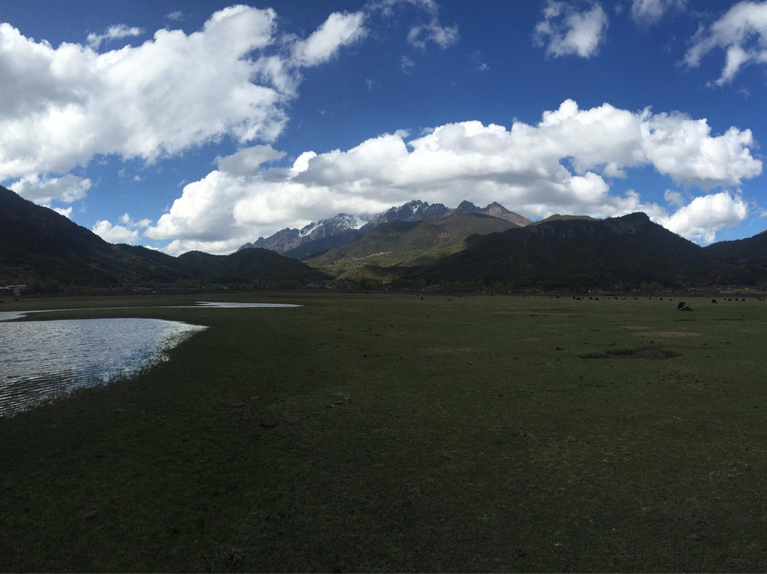 文海-丽江市必去景点