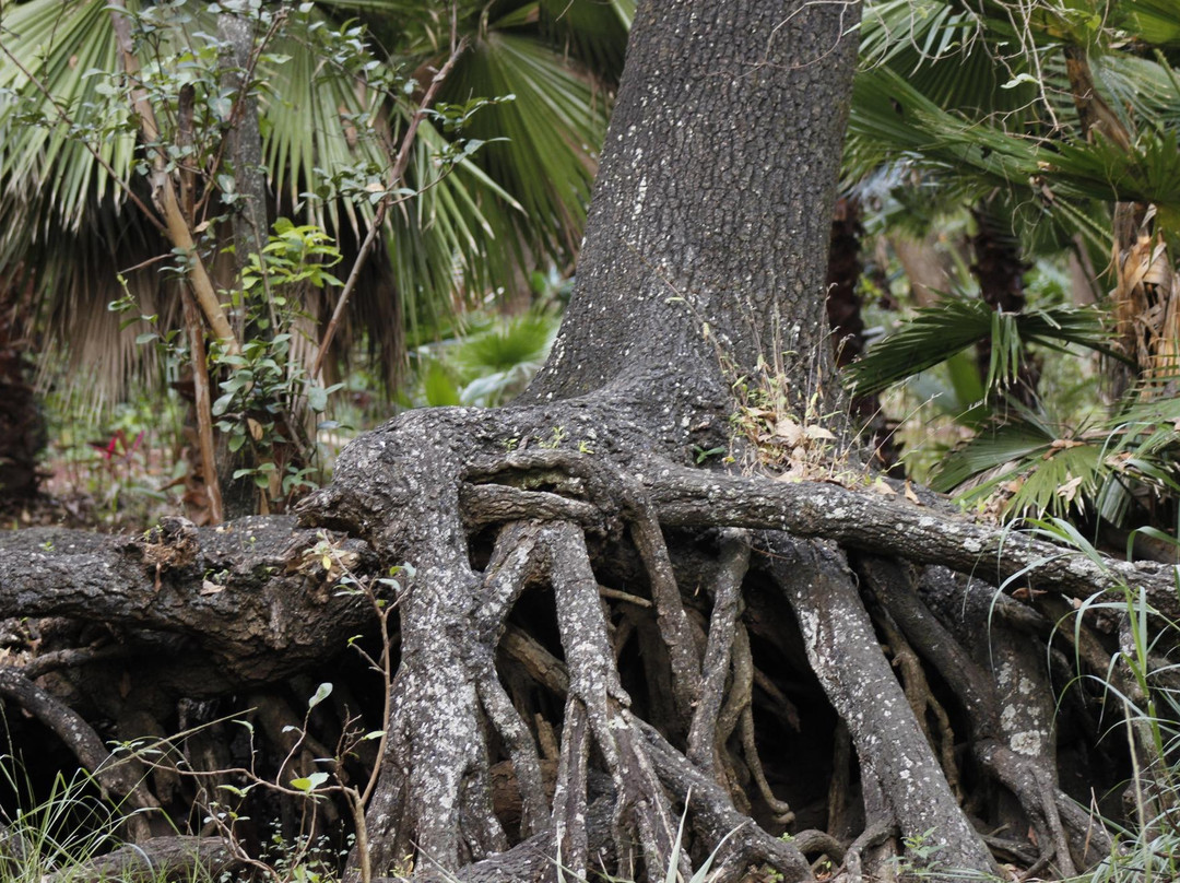 La Cienega de Tlaxcala-Ayotlan必去景点