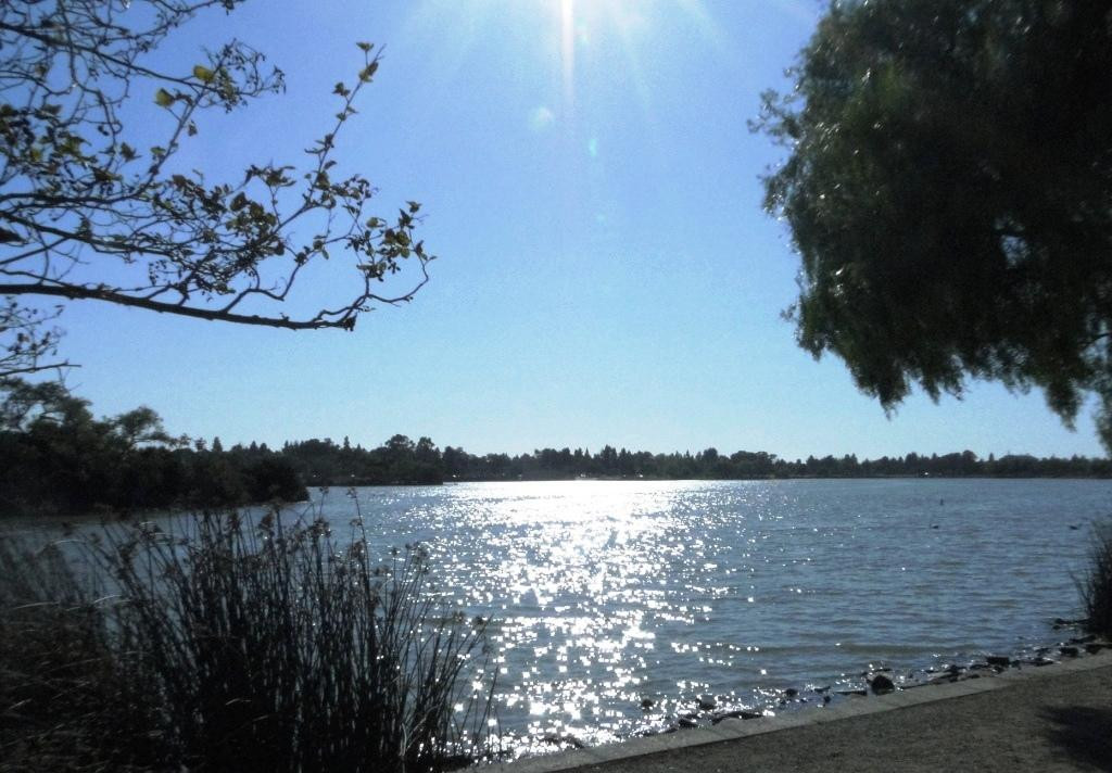 中央公园-费利蒙必去景点