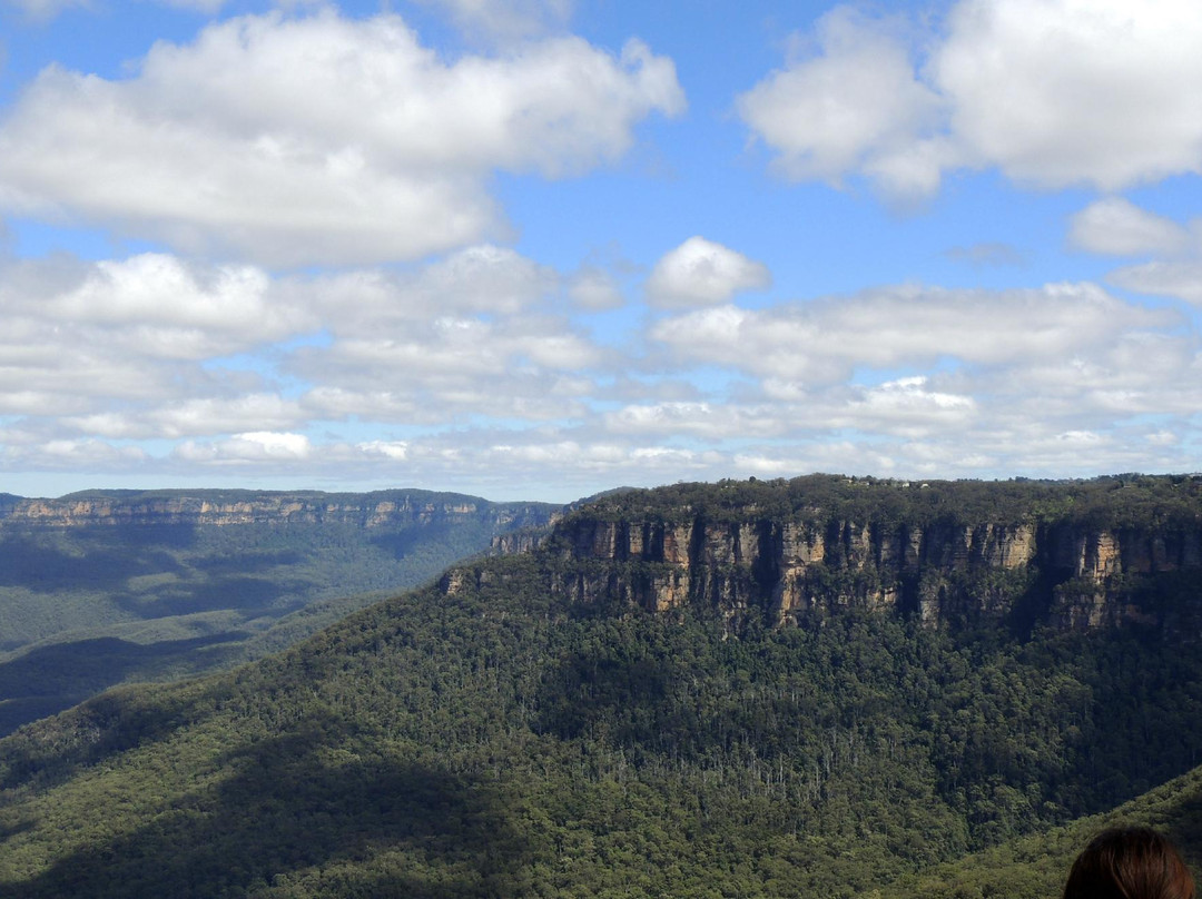Dingo Tours-兰德威克必去景点