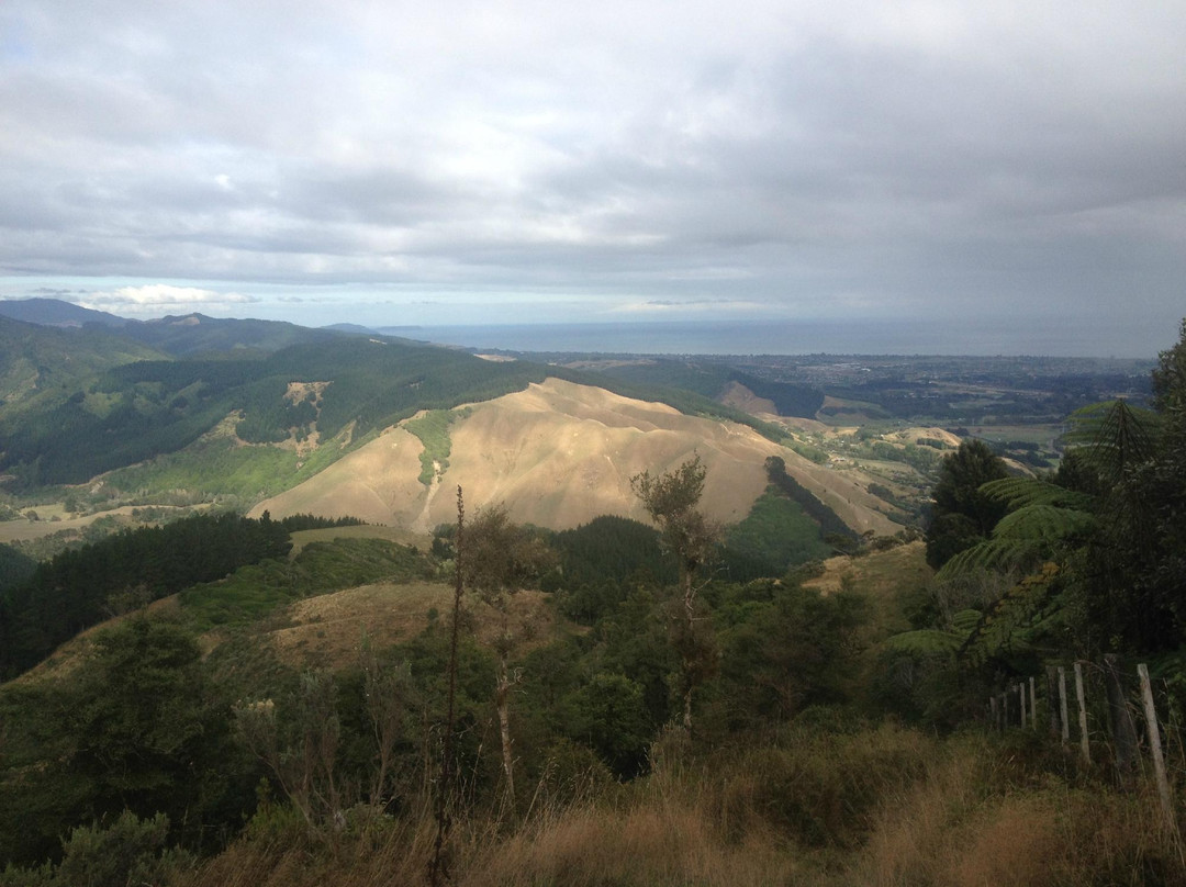 Hemi Matenga Memorial Park Scenic Reserve景点图片
