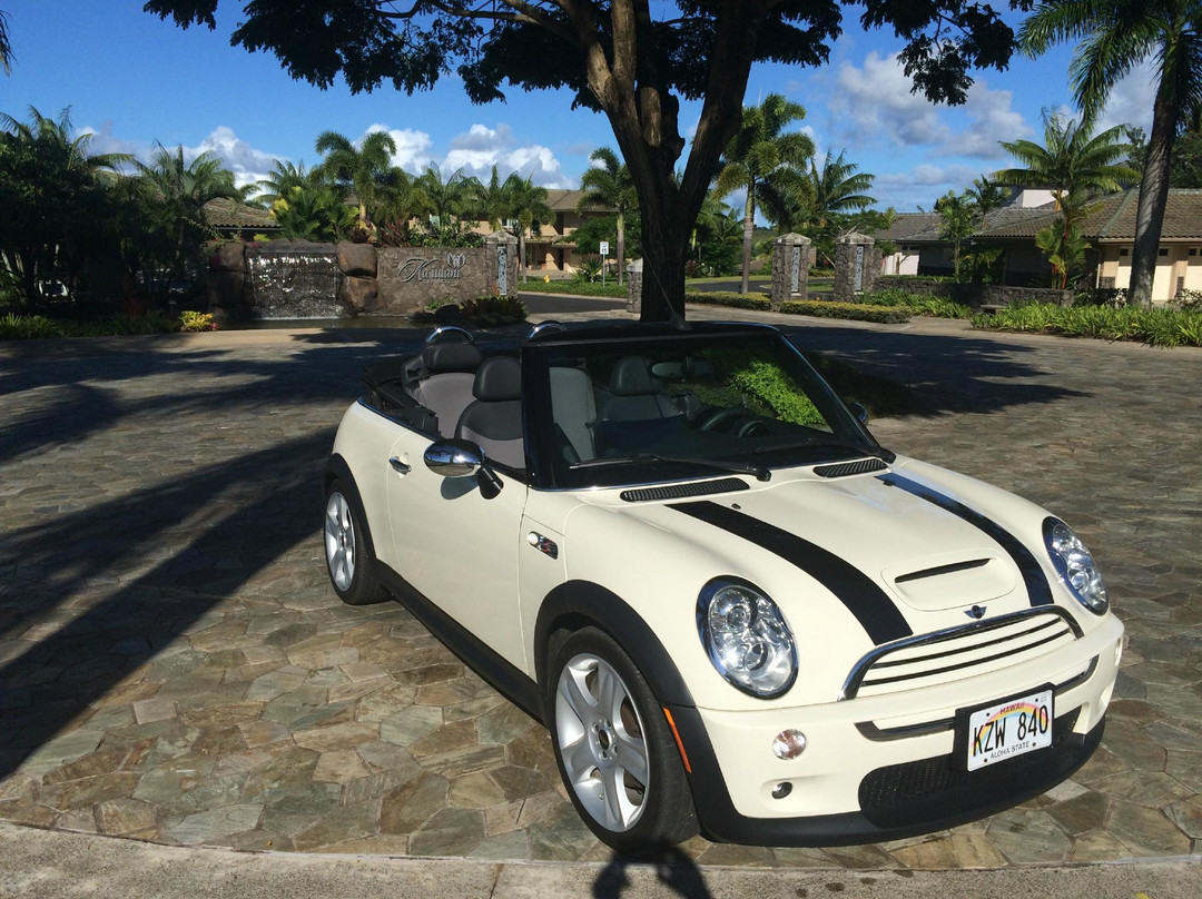 Experience Kauai Tours & Transportation-普林斯维尔必去景点