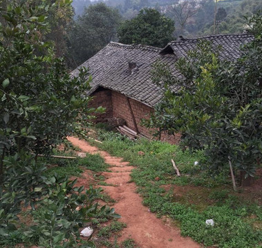 Panda Explore-成都必去景点