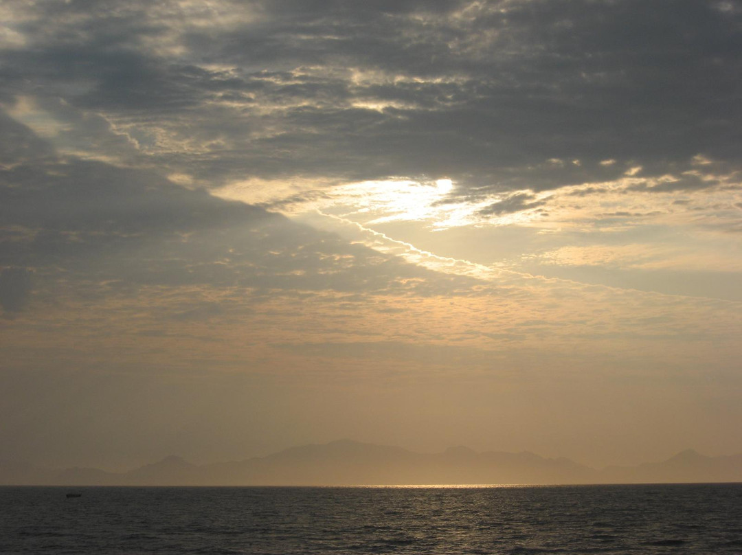 Guided Nature Trails Cape Point-开普敦中心区必去景点